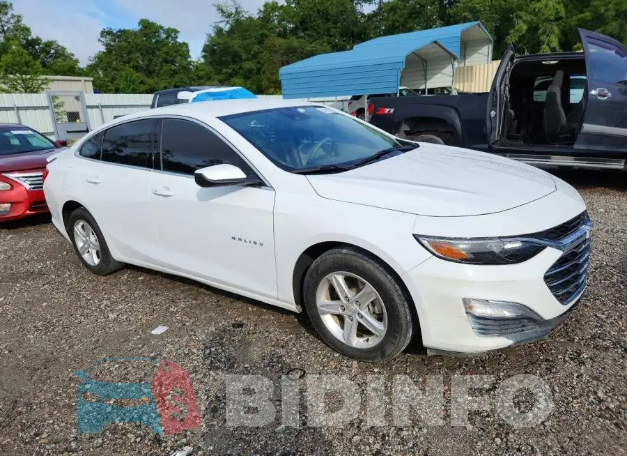 1G1ZB5ST9RF239216 Photo# 4