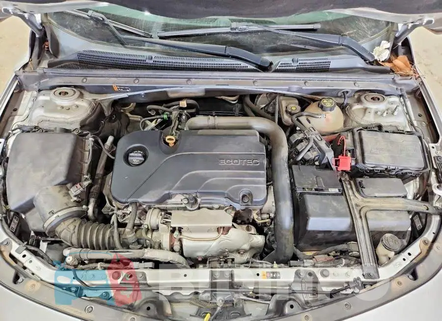 1G1ZD5ST8KF122081 Photo# 11