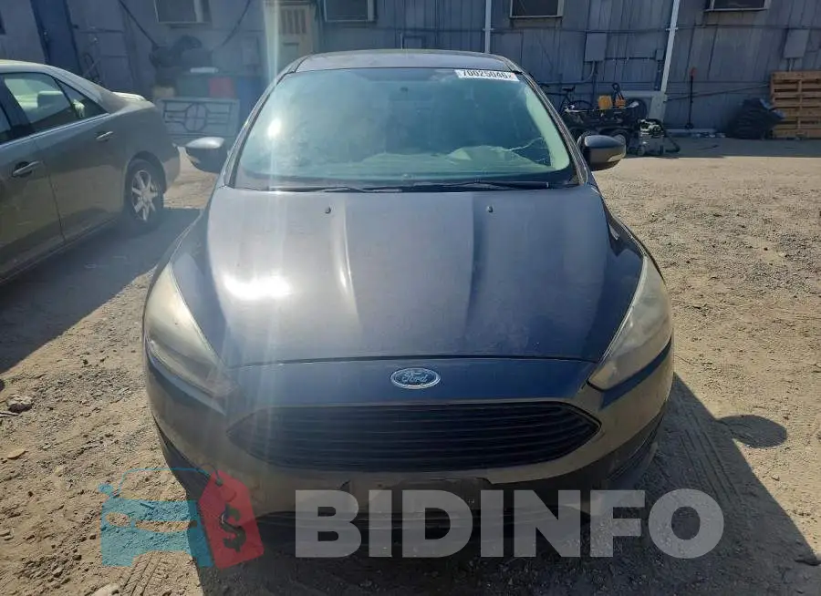 1FADP3FE5HL306919 Photo# 5