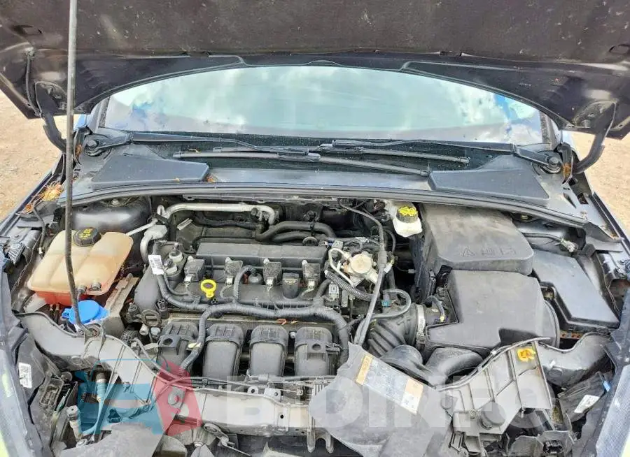 1FADP3M20JL221288 Photo# 11