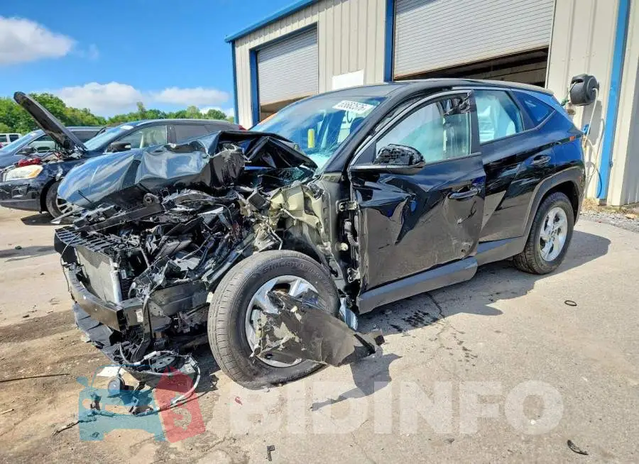 5NMJACDE9RH394717 Photo# 1