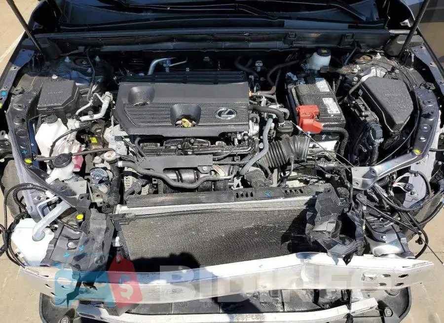 2T2GDCAZ6RC013481 Photo# 12