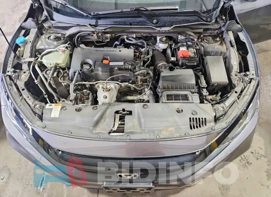 2HGFC2F69KH587534 Photo# 11