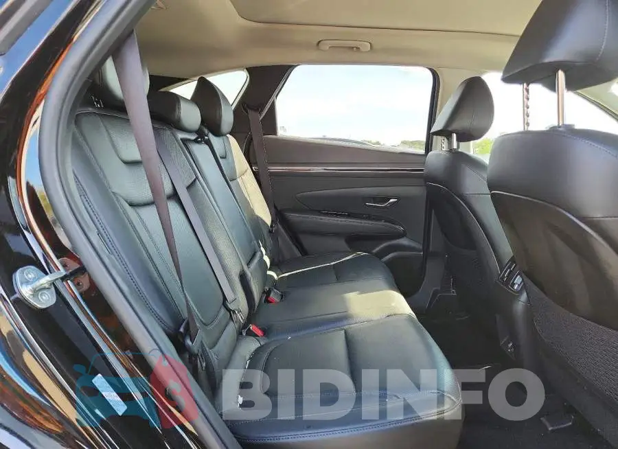 KM8JFDD25RU234576 Photo# 11