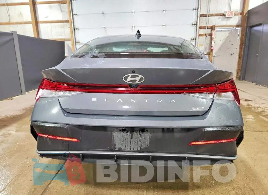 KMHLM4DJ5TU210825 Photo# 6