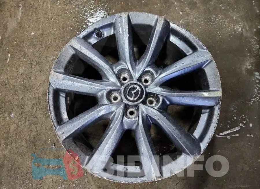 JM1BPALL3T1862420 Photo# 12