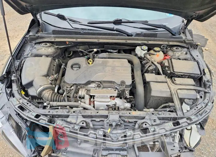 1G1ZD5ST5PF134437 Photo# 11