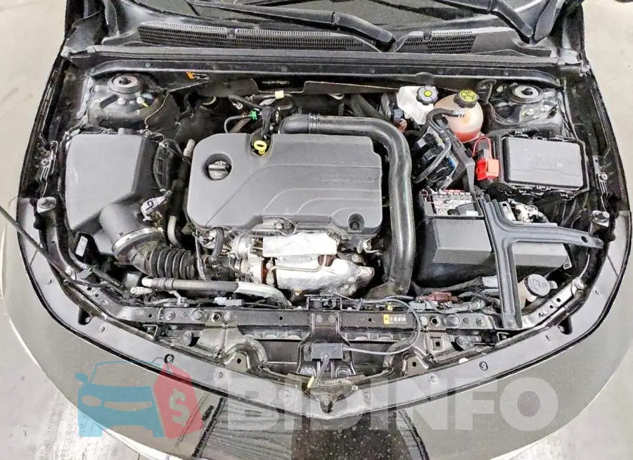 1G1ZD5ST8PF163477 Photo# 11