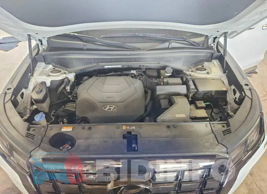 KM8R5DGE5PU539973 Photo# 12