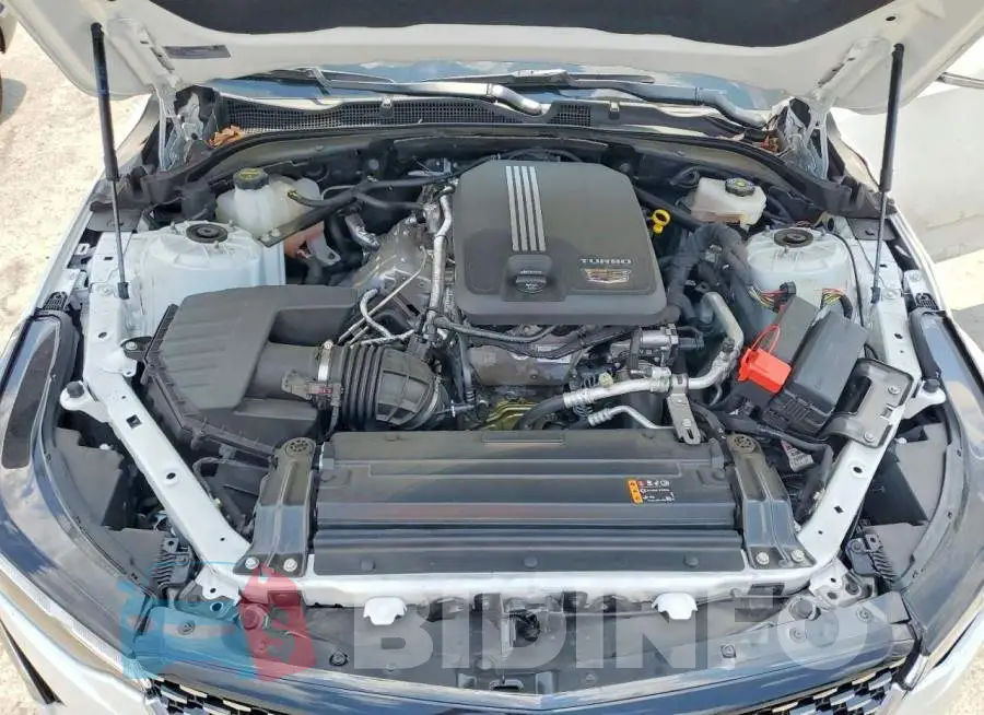 1G6DB5RK2R0115633 Photo# 11