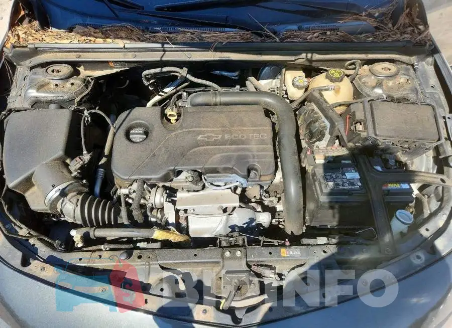 1G1ZB5ST3HF128465 Photo# 11