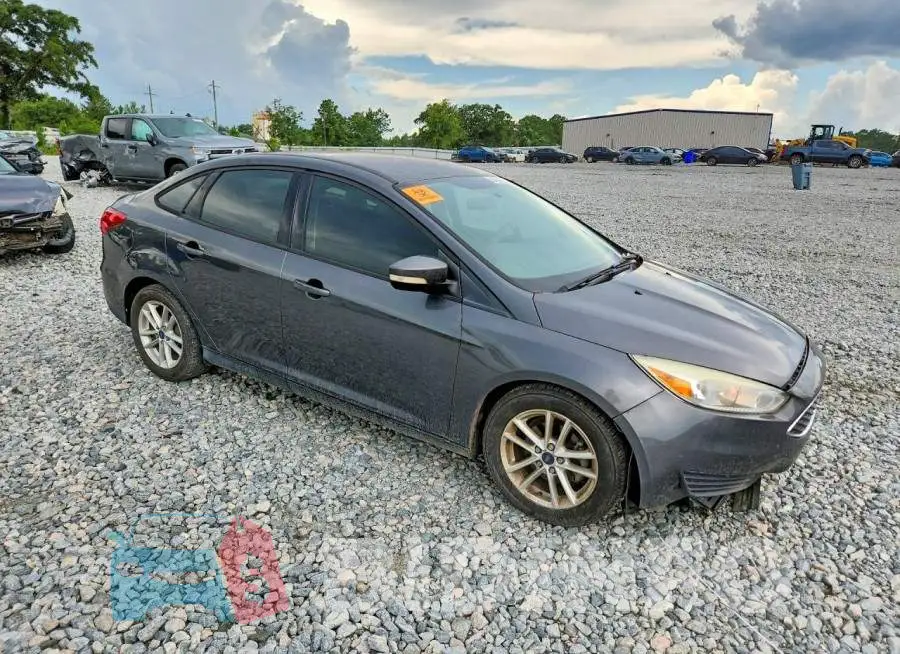 1FADP3F2XHL282302 Photo# 4