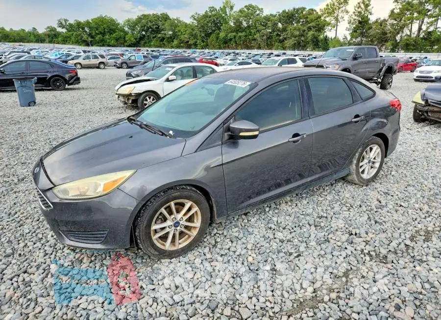 1FADP3F2XHL282302 Photo# 1