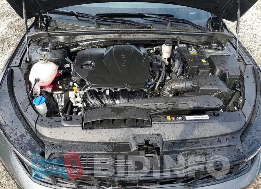 KNAG24J71T5432077 Photo# 11