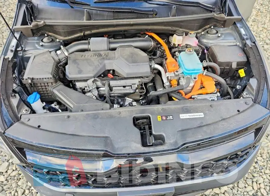 KNDPYDDH1S7262280 Photo# 12