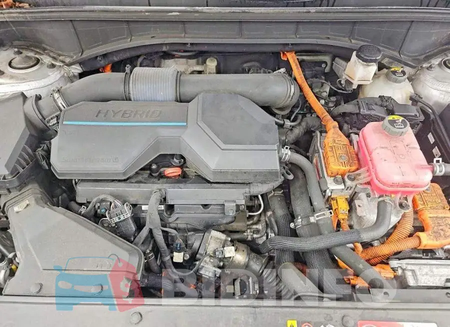 KNDRG4LG6M5024492 Photo# 7