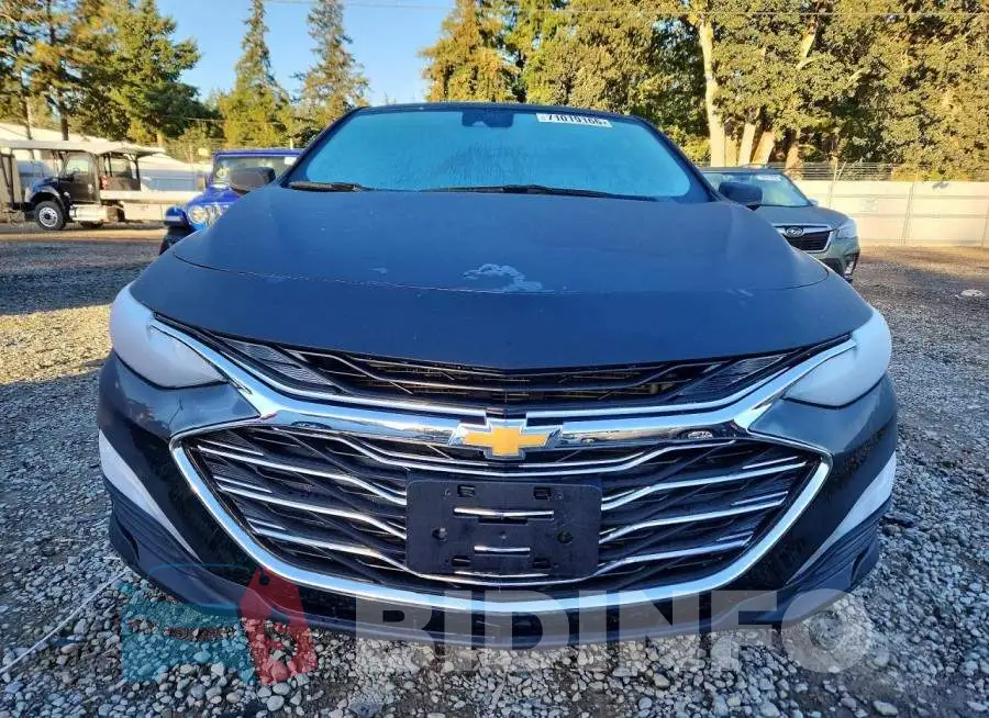 1G1ZD5ST7RF156197 Photo# 5