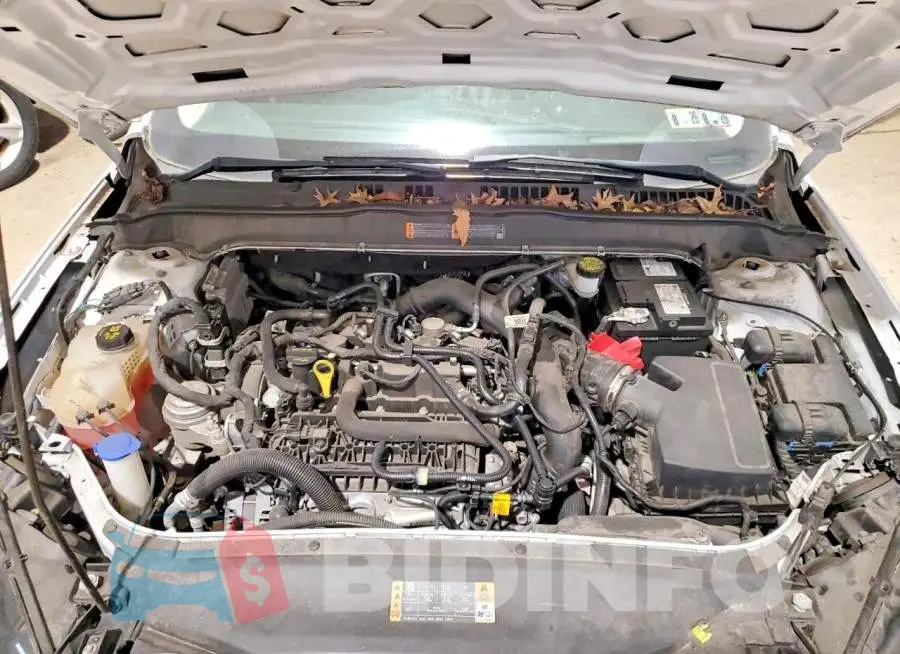 3FA6P0HD5KR281783 Photo# 11