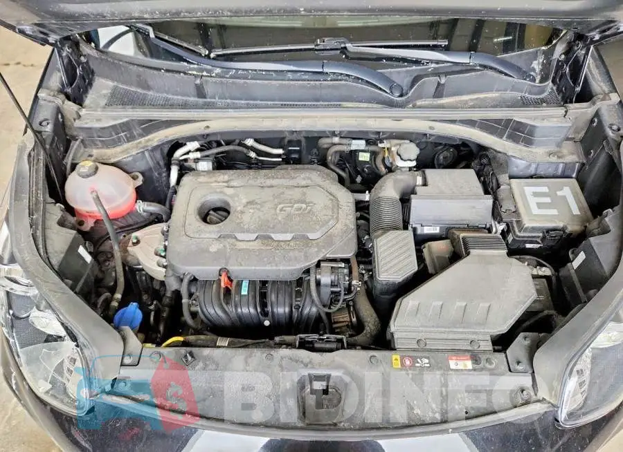 KNDPMCAC6M7911413 Photo# 12