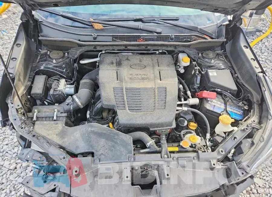 JF2SKAXC8MH515135 Photo# 12