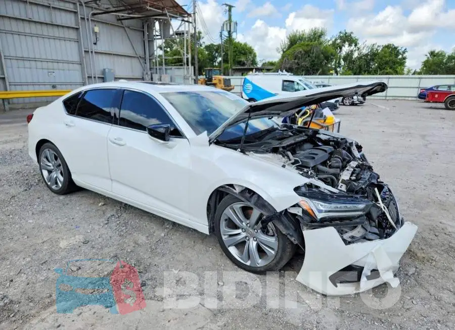 19UUB5F42MA012381 Photo# 4