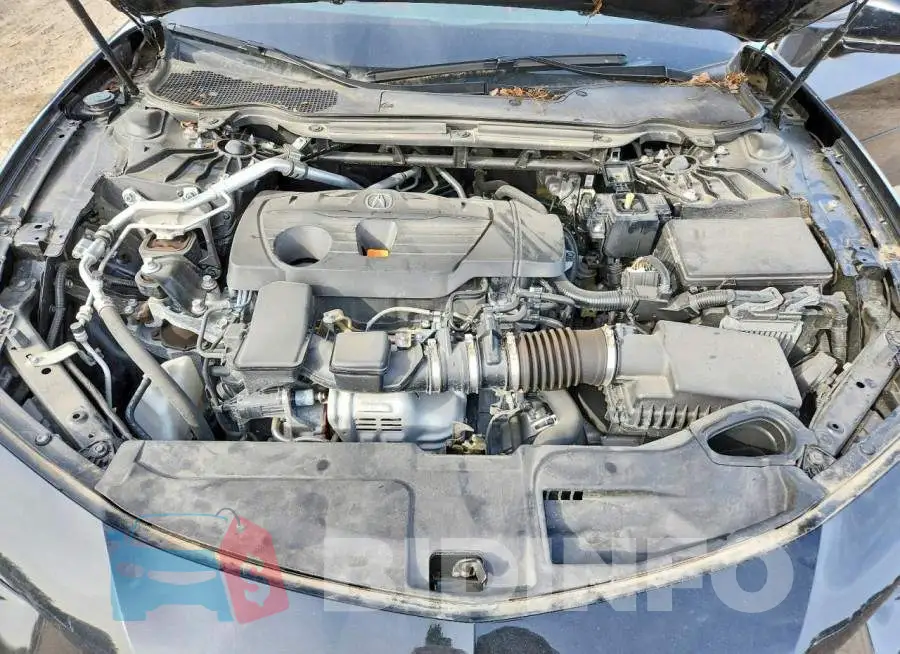 19UUB6F52PA800337 Photo# 11