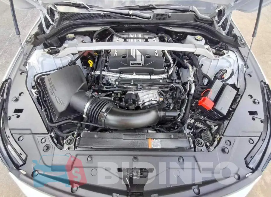 1G6D35R69T0810246 Photo# 11
