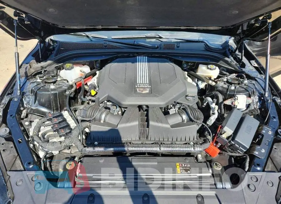 1G6DR5RW3R0128700 Photo# 11