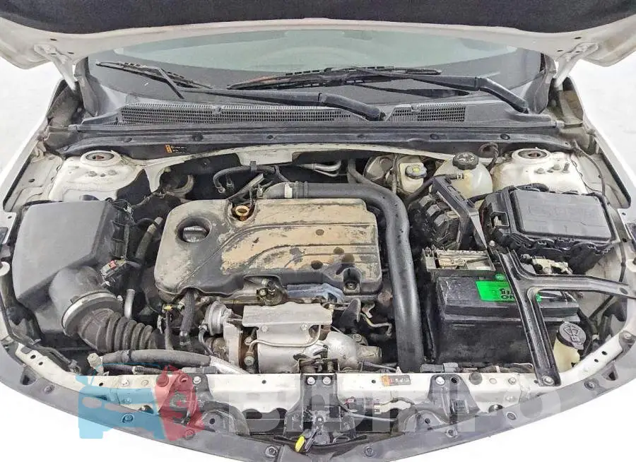 1G1ZB5ST1HF281071 Photo# 11