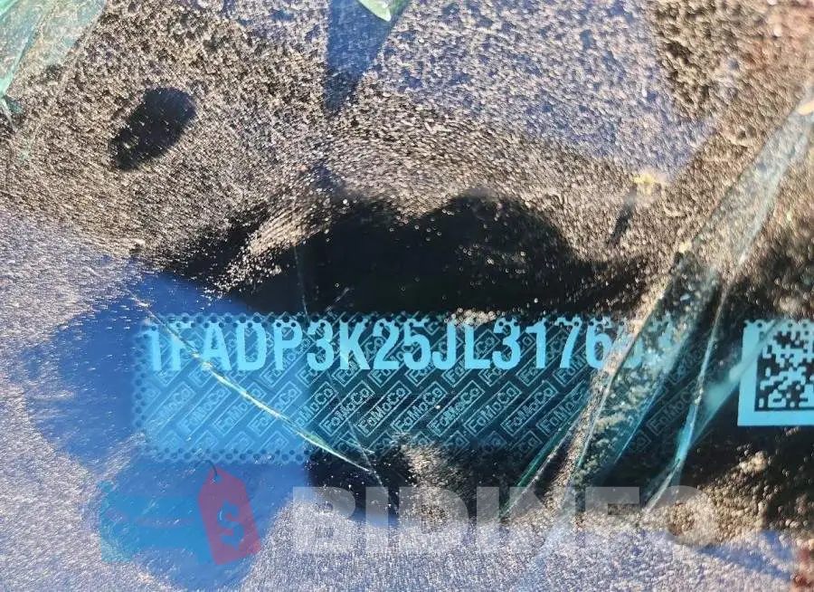 1FADP3K25JL317663 Photo# 13