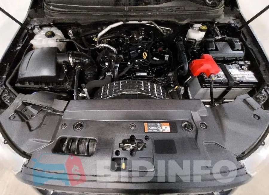 1FTER1EH8MLD80225 Photo# 11