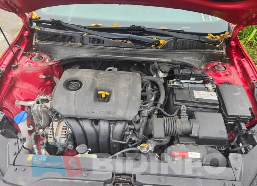 KNAF55AC3L5067469 Photo# 7