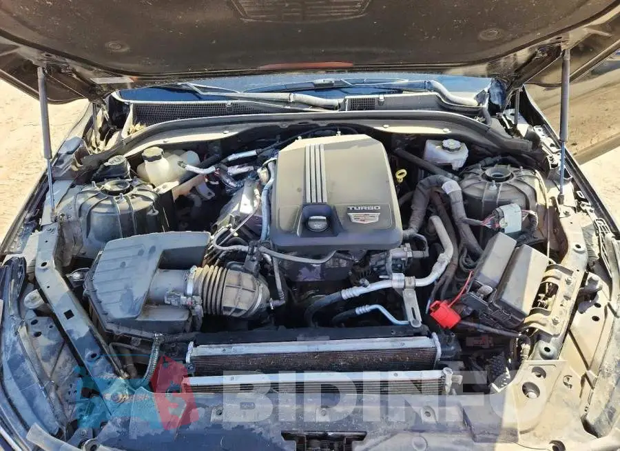 1G6DN5RK2P0144361 Photo# 11