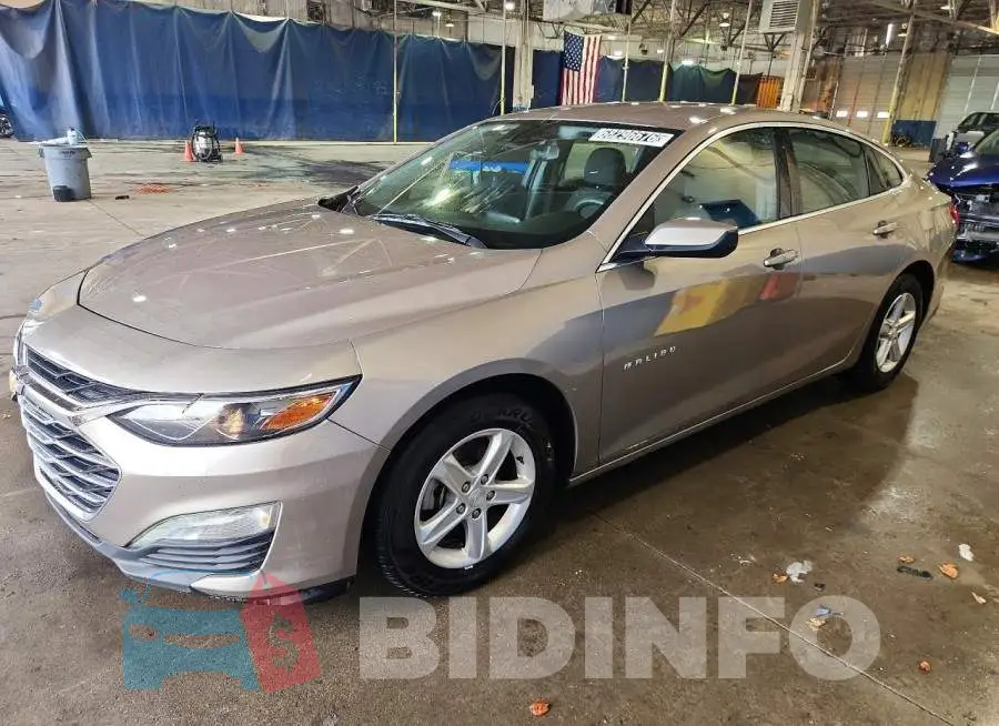 1G1ZD5ST1PF167113 Photo# 1