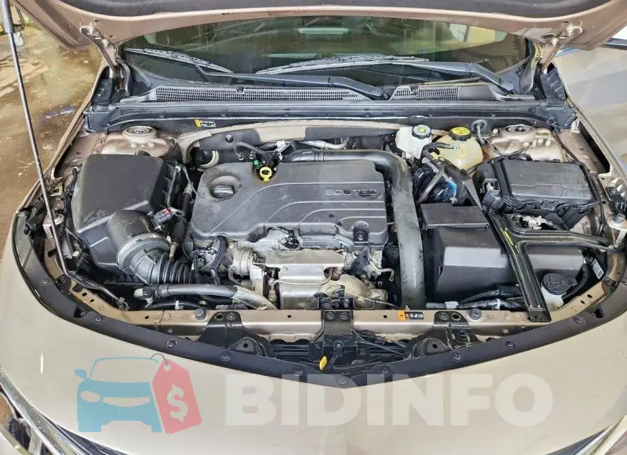 1G1ZD5ST1PF167113 Photo# 11
