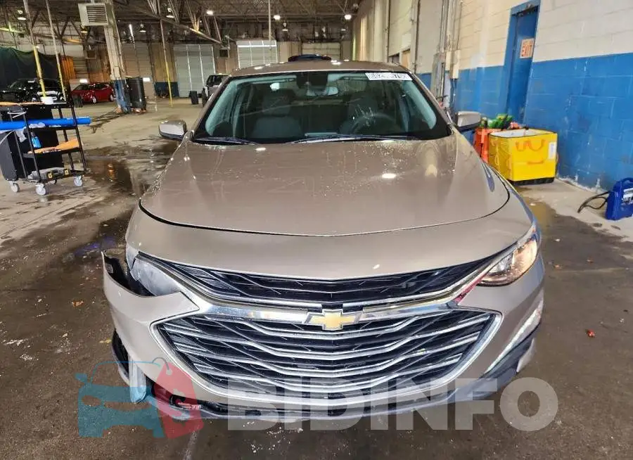 1G1ZD5ST1PF167113 Photo# 5