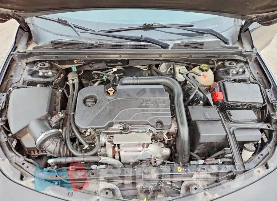 1G1ZD5ST5LF085010 Photo# 11