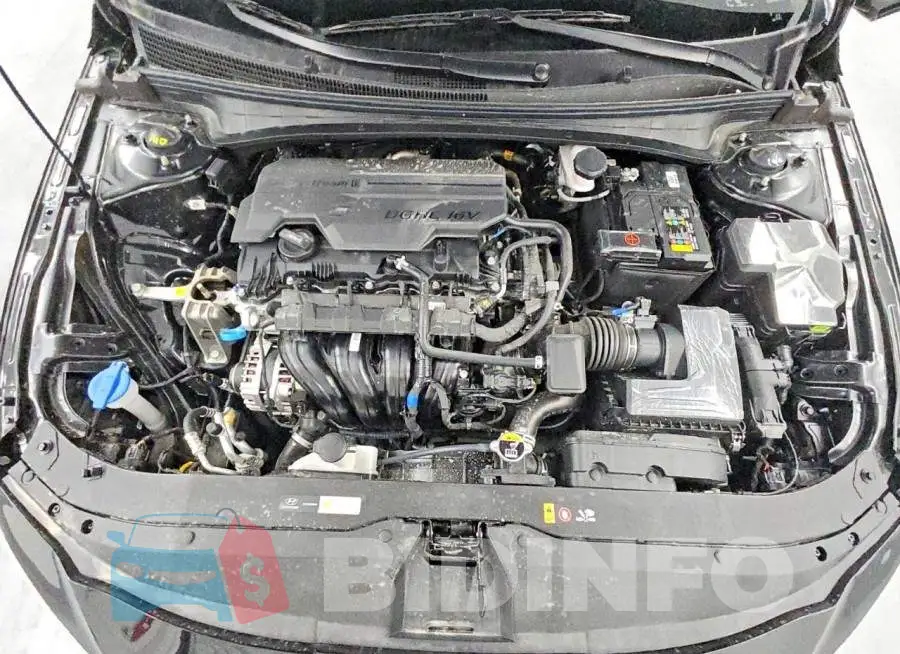 KMHLM4DG2TU161099 Photo# 11