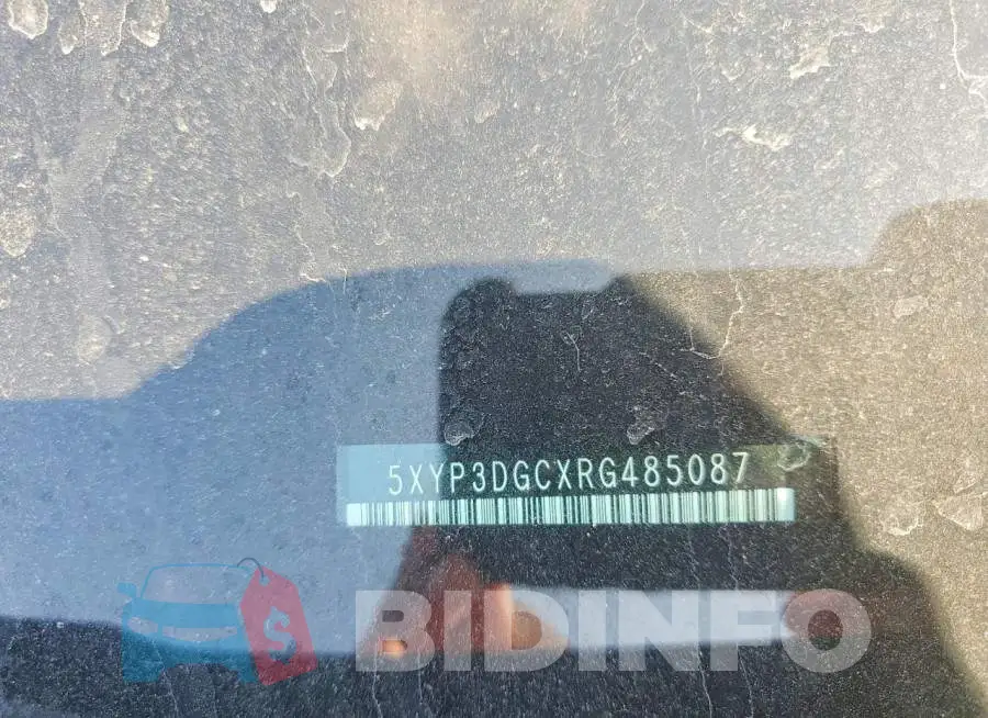 5XYP3DGCXRG485087 Photo# 14
