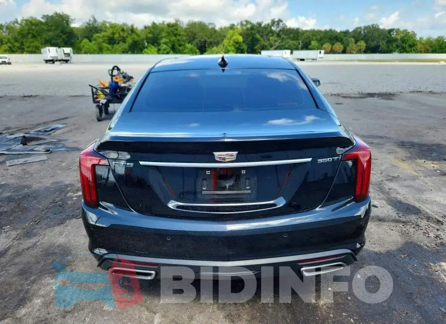 1G6DW5RK8P0130509 Photo# 6