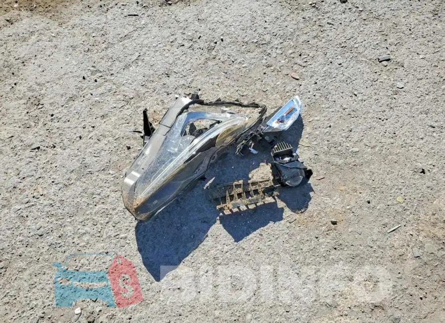 JN1EV7EK5HM361239 Photo# 12