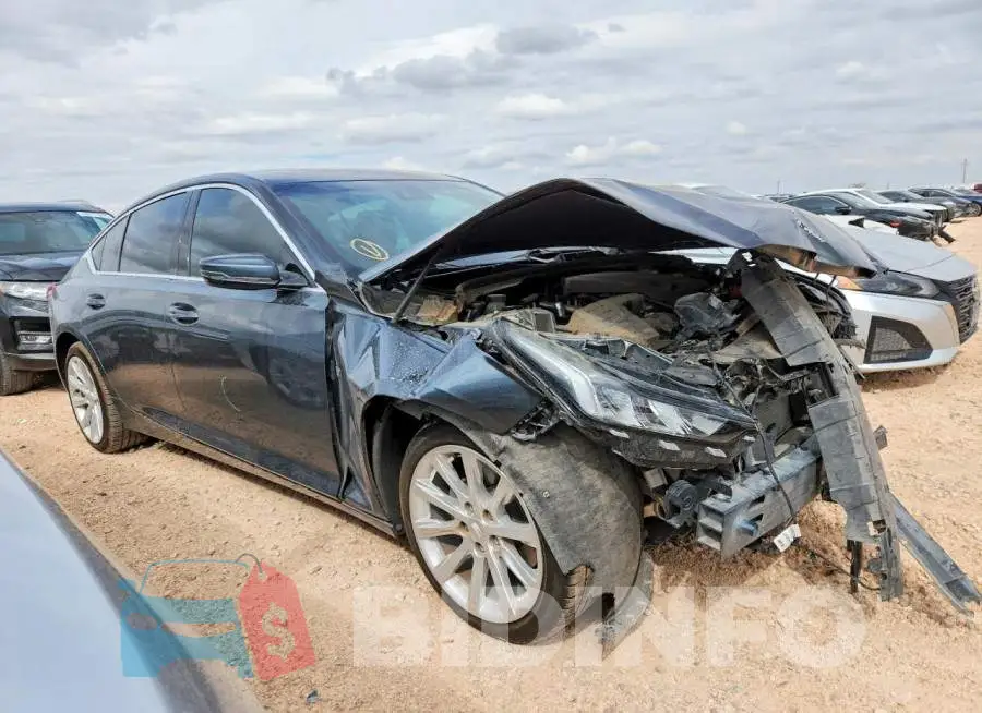 1G6DW5RK5L0151201 Photo# 4