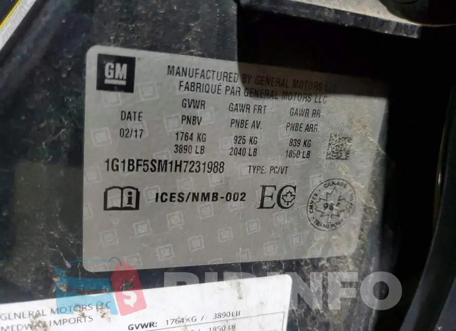 1G1BF5SM1H7231988 Photo# 12