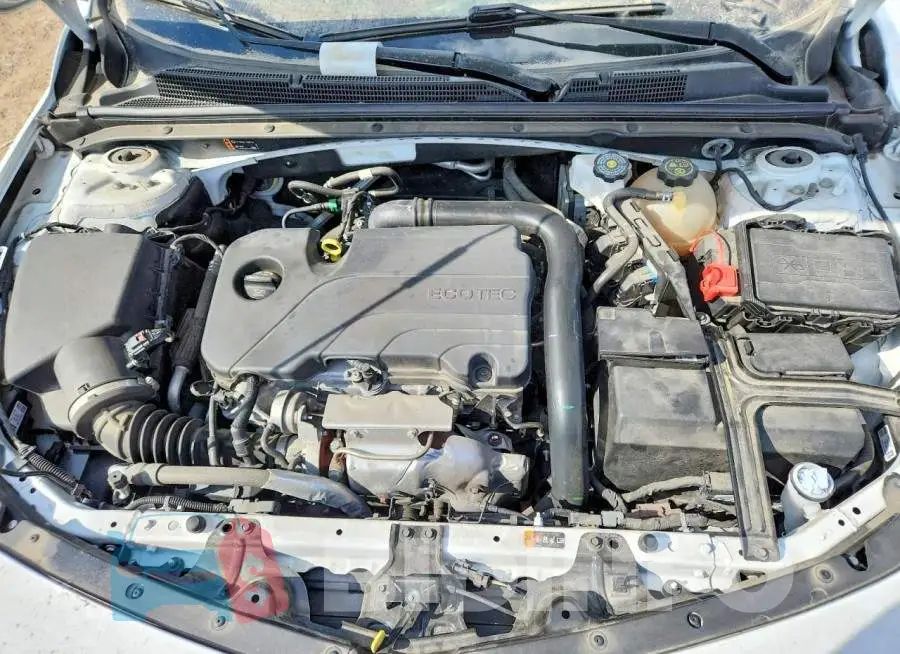 1G1ZD5ST2PF123783 Photo# 11