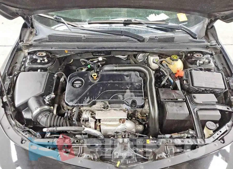 1G1ZD5STXKF166020 Photo# 11