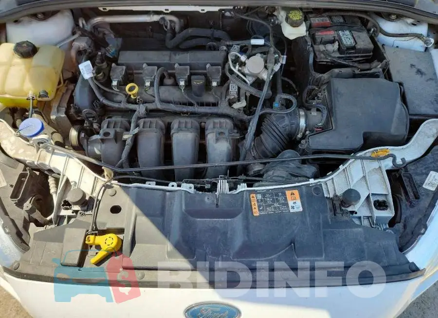 1FADP3F24JL201509 Photo# 11
