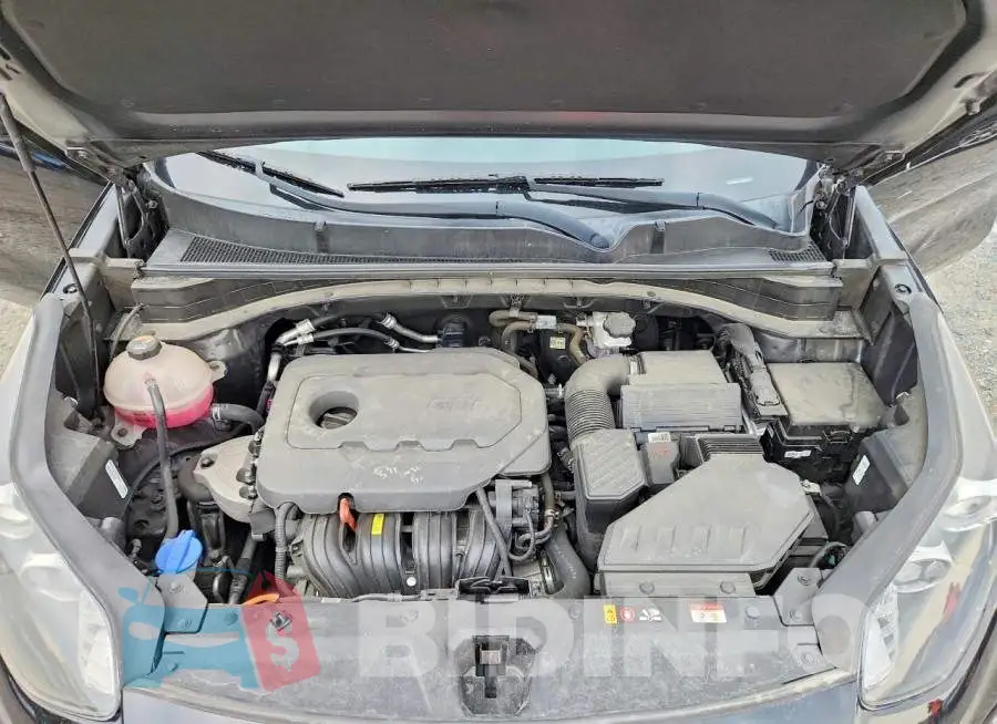 KNDPMCAC8M7914832 Photo# 12