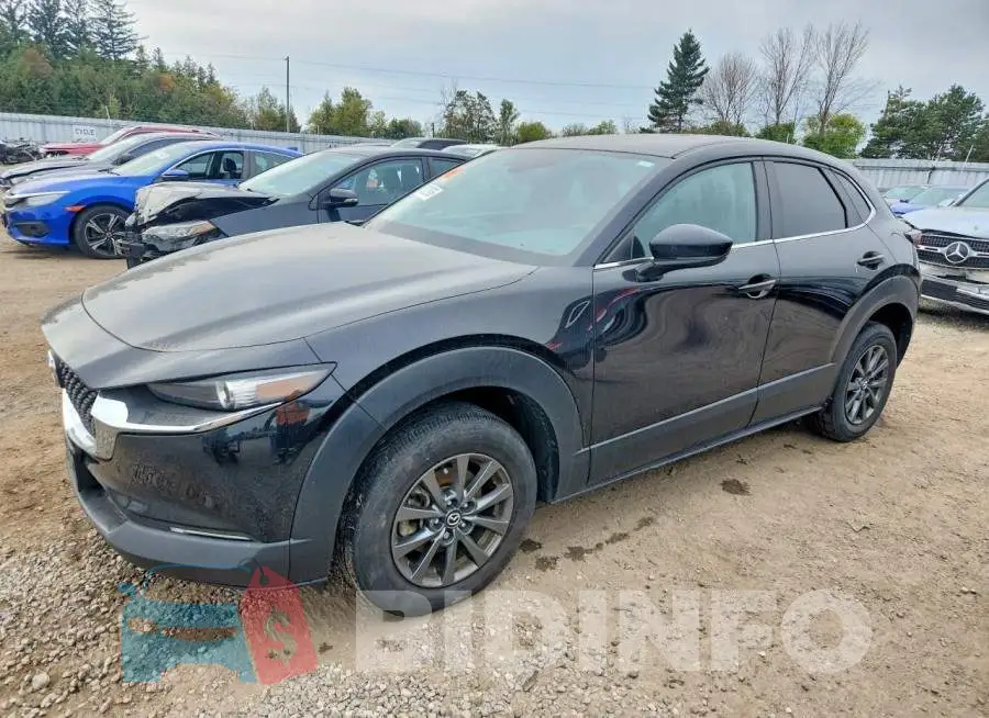 3MVDMBB77MM259260 Photo# 1
