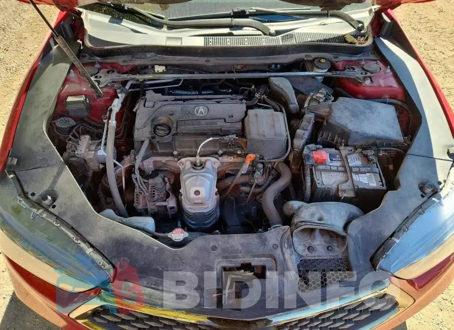 19UUB1F60KA800115 Photo# 11