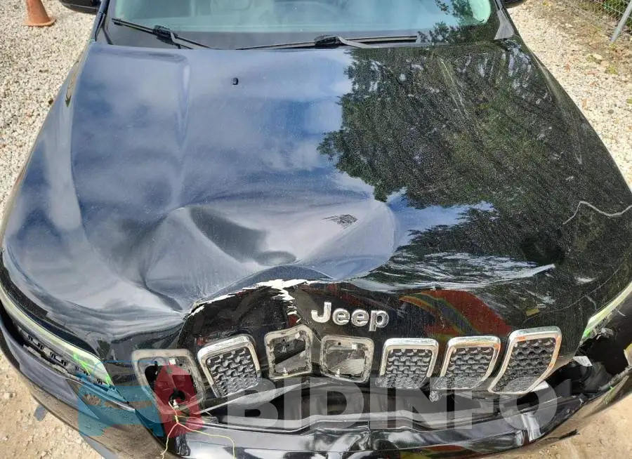 1C4PJMDX6MD235172 Photo# 12